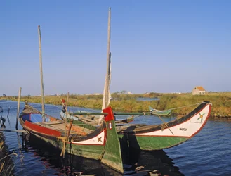 Moliceiros en un canal